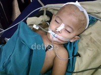 Sebelum meninggal, Fatir Muhammad mendapat perawatan di RS Wahidin Sudirohusodo, Makassar.