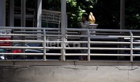 Faktor cuaca diduga menjadi penyebab retakan.