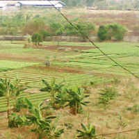 Terhambat BPN, Lahan Industri di Indonesia Hanya 29.000 Hektar