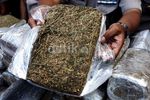 Polisi Sita 1 Ton Ganja Senilai Rp 3 M