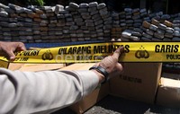 Petugas memasang garis polisi di sekitar barang bukti ganja.