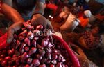 Harga Bawang Merah Tembus Rp 50.000/Kg