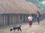 Ini Rasanya Tidur di Rumah Jamur Asli Papua