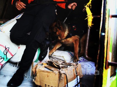 Anjing Pelacak Cegah Distribusi Narkoba