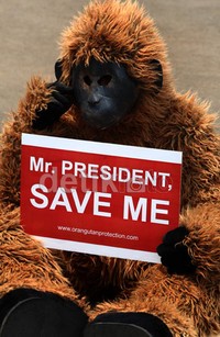 Dalam aksinya mereka membawa poster bertuliskan Mr. President Save Me.