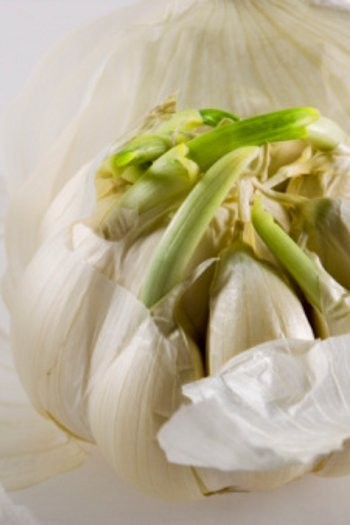 Manfaat Sehat di Balik Mahalnya Bawang Putih