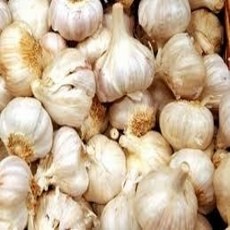 KPPU Akan Panggil Importir Bawang Putih Nakal