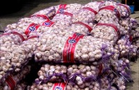 Barang bukti yang diamankan berupa 74 karung bawang putih seberat 666 kilogram dan 926 karung bawang merah seberat 8.334 kilogram.
