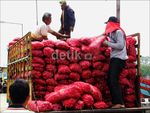 Bea Cukai Amankan 9 Ton Bawang India Ilegal