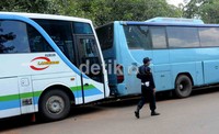 Setiap bus bertuliskan 'Bus Pariwisata'. Yang membedakan dari kedua bus besar ini hanyalah corak dan warnanya.