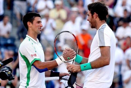 Kalahkan Djokovic, Del Potro Tantang Nadal