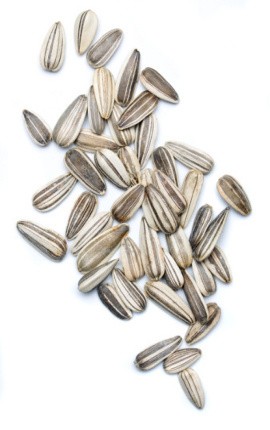 Agar Tak Loyo, Picu Gairah Seks dengan Biji Labu dan Wijen Hitam