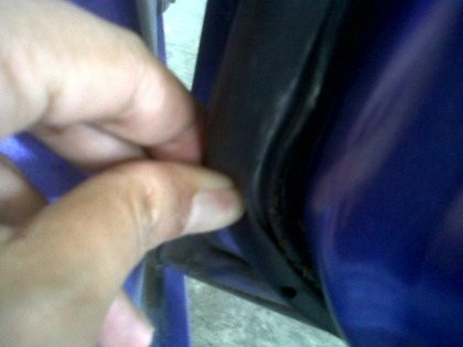 Cara Sederhana Basmi Semut yang Bersarang di Mobil