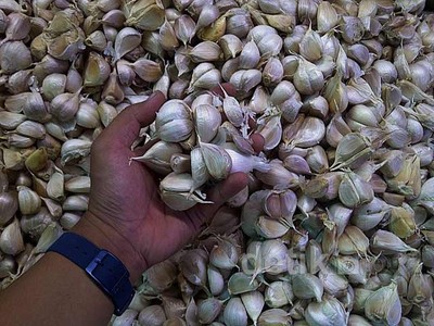 Bawang Putih Made In China di Kramat Jati