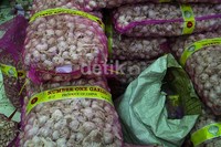 Dalam sekali pengiriman, sebuah toko bisa mendapatkan rata-rata hingga 15 ton bawang putih asal China.