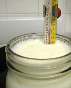 6 Langkah Mudah Membuat Yogurt di Rumah