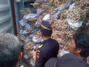 Bea Cukai Tanjung Priok Cegah Ekspor Kayu Ilegal Senilai Rp 2,3 M