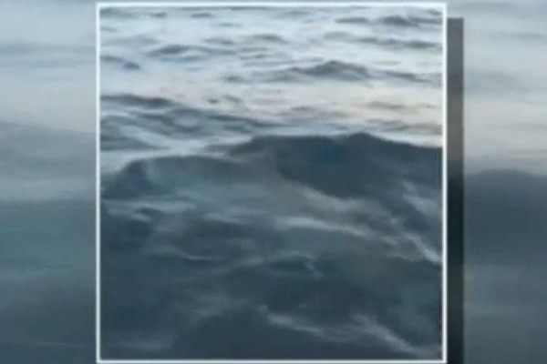 Mancing Ikan, Dapat Hiu Putih Besar!