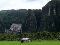 Lembah Harau berada di Kabupaten Lima Puluh Kota, Sumatera Barat. Lanskapnya khas yaitu dikelilingi perbukitan dan diselimuti pepohonan dan sawah nan hijau (Shafa/detikTravel)