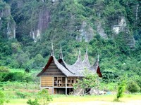 Salah satu rumah khas Minangkabau pun dibangun di tengah Lembah Harau. Siapa yang tak tergoda ingin bermalam di sana? (Shafa/detikTravel)