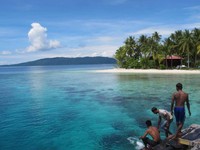 Bagi yang tidak punya lisensi, tak perlu kecewa. Anda bisa snorkeling di sekitar pantai di Pulau Arborek secara gratis. Perairannya sangat jernih. Lihatlah terumbu karang dan ikan berwarna-warni dari permukaan airnya (Afif/detikTravel)