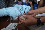 BNN Musnahkan 16 Ribu Butir Ekstasi