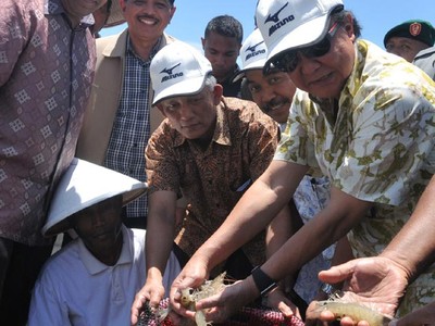 Sharif Sutardjo Panen Udang