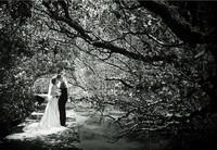 Handy & Lidya Simple Elegant (dok. Wolipop)