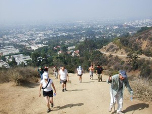 5 Cara Liburan Seru di Hollywood
