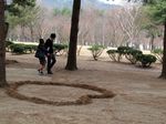 Romantisnya Nami Island di Korea, Mana Tahan!