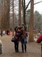 Romantisnya Nami Island di Korea, Mana Tahan!