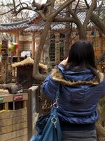 Romantisnya Nami Island di Korea, Mana Tahan!