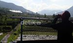 Petani Tetap Nekat Bertani  di Kawah Beracun