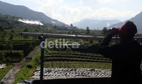 Petugas sedang memantau aktivitas Kawah timbang dari Dusun Simbar, Desa Sumberejo, Kecamatan Batur, Banjarnegara, Jawa Tengah. Arbi Anugrah/detikcom.