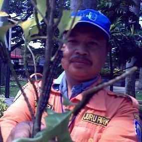 Hiii, Ulat Kembali Serang Taman Citarum di Bandung