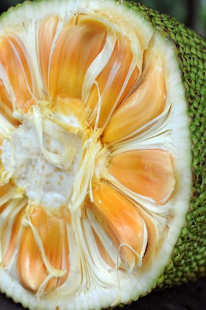 Sering Mengalami Sembelit? Makanlah Buah Nangka!