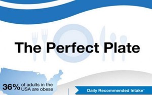 The Perfect Plate, Panduan Makan Sehat Gaya Amerika