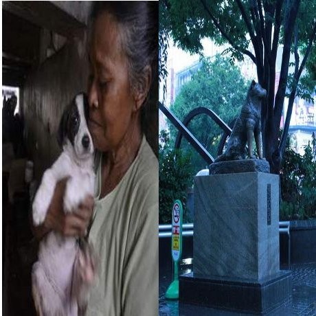 5 Kisah Haru Persahabatan Anjing dan Manusia