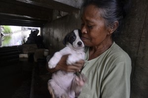 Ada Donatur, Mak Tun & 14 Anjingnya Segera Tinggalkan Kolong Jembatan