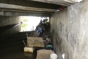 Saat Mak Tun & Anjingnya Berjibaku Melawan Arus di Kolong Jembatan