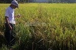 Aktivitas Tambang Ancam Penghidupan 720 KK di Kukar
