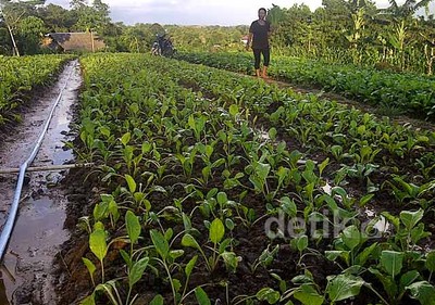 Aktivitas Tambang Ancam Penghidupan 720 KK di Kukar