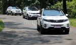 Membuktikan Ketangguhan KIA Sorento di Parijs van Java