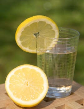 Asam Segar Jeruk Lemon Atasi Darah Tinggi dan Infeksi (1)