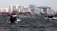 Sungai sepanjang 372 km yang membelah Kota Bangkok itu selalu ramai baik siang maupun malam.