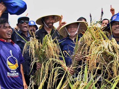 Surya Paloh Panen Raya dengan Petani