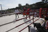Acara tersebut mengadakan 15 pertandingan dengan kategori minimal berat 25 kg hingga 70 kg untuk mencetak bibit petinju di DKI Jakarta.     