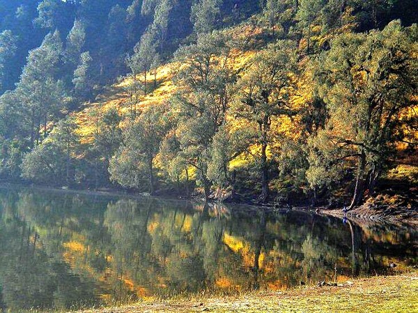 Trekking Bareng Keluarga ke Ranu  Kumbolo  Kenapa Tidak 