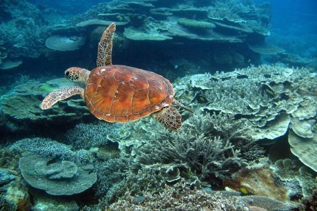 Tempat Menakjubkan yang Bisa Diteropong via Google Street