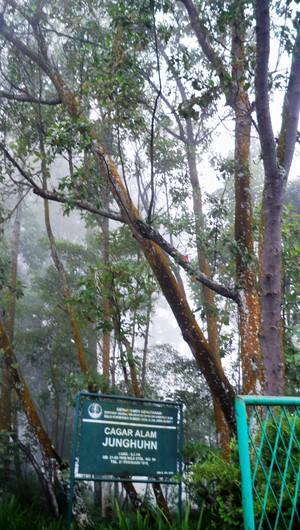 Junghuhn, Petualan yang Memilih Jalan Sepi